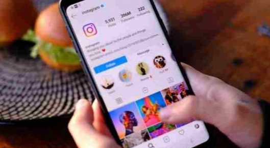 Best 5 Insta Video Downloader Websites for Free Downloads & Instagram Story Viewing